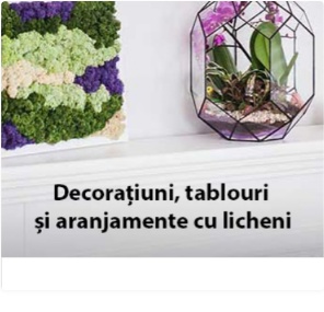 Decorațiuni, tablouri și aranjamente cu licheni
