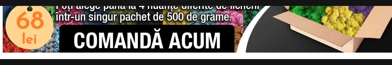 Pachet Licheni MIXT — 68 lei — Comandă Acum